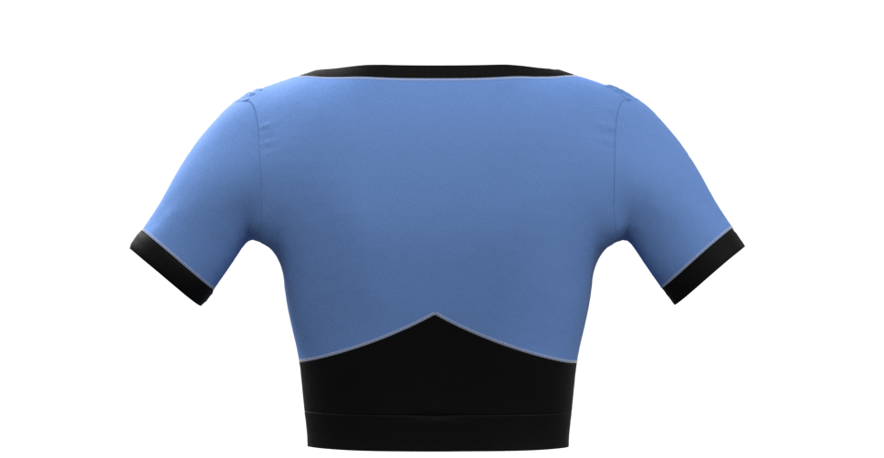 Eclipse Top Back